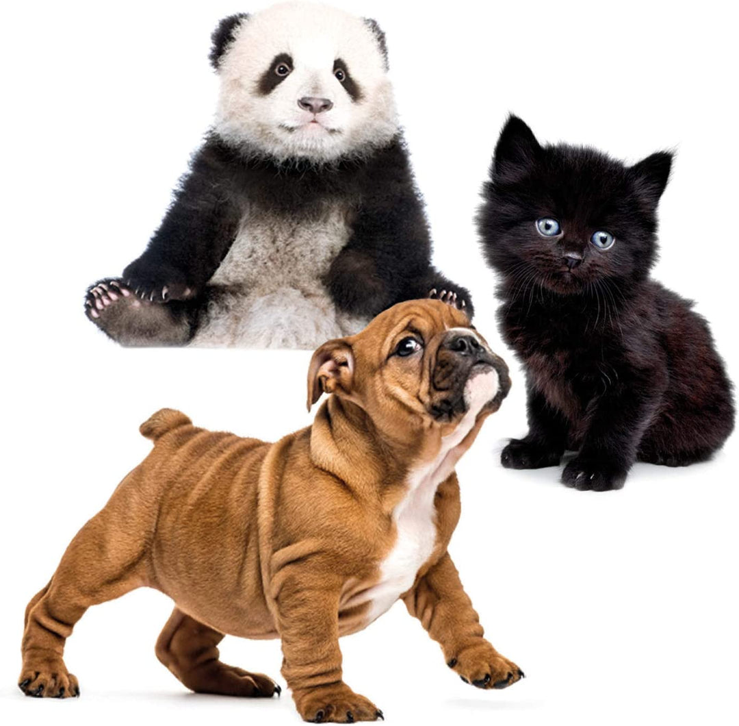 Domino Bébés Animaux - Eveil Montessori Maroc