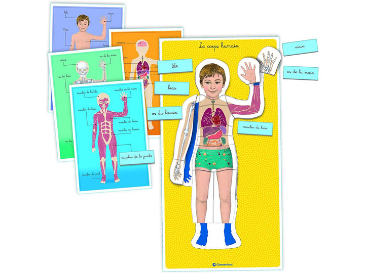 LE CORPS HUMAIN - MONTESSORI - Eveil Montessori Maroc