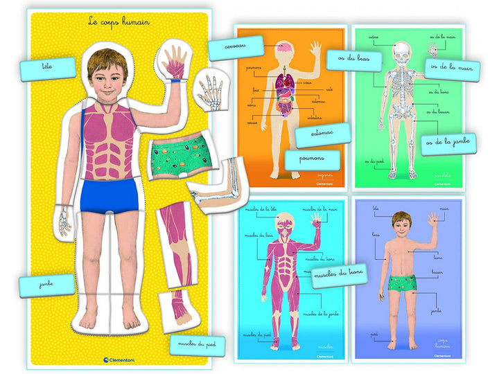 LE CORPS HUMAIN - MONTESSORI - Eveil Montessori Maroc