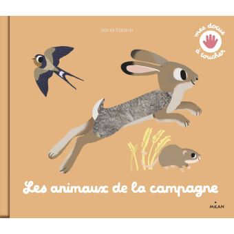 Les animaux de la campagne - Eveil Montessori Maroc