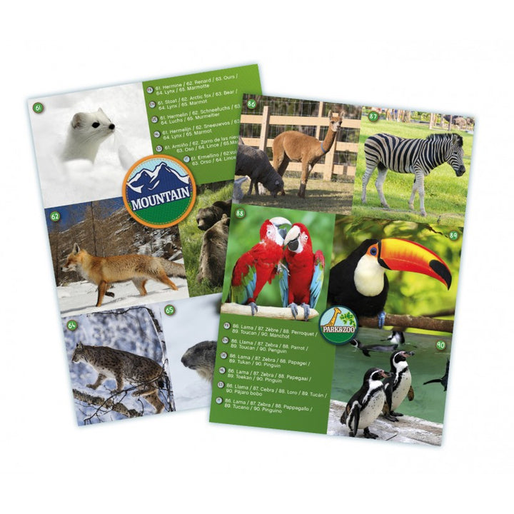 Maxi Jumelles - Eveil Montessori Maroc