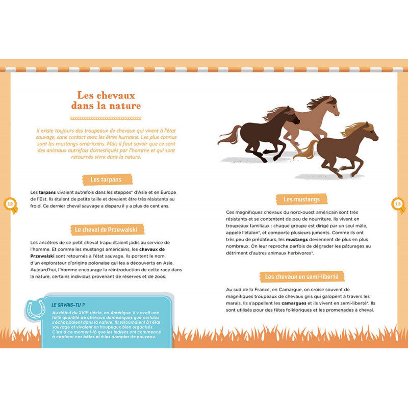 À LA DÉCOUVERTE DES CHEVAUX - Eveil Montessori Maroc