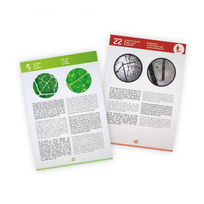 Microscope Vidéo 3 en 1 - Eveil Montessori Maroc