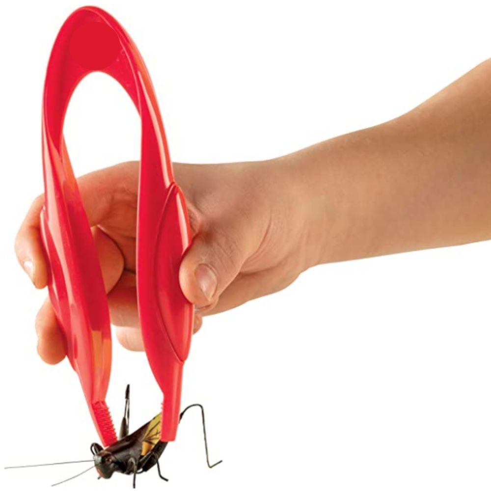 Grande Pince Ergonomique - Eveil Montessori Maroc