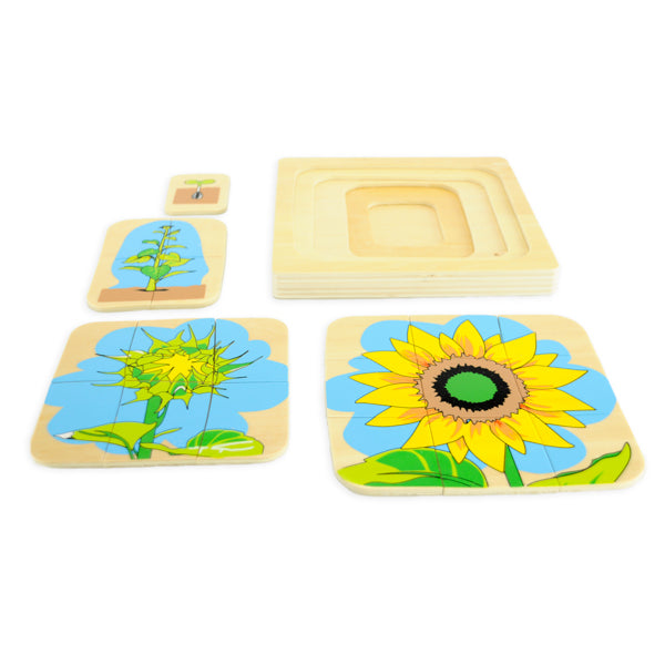Puzzle cycle de vie de la fleur - Eveil Montessori Maroc
