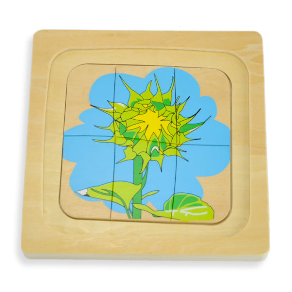 Puzzle cycle de vie de la fleur - Eveil Montessori Maroc