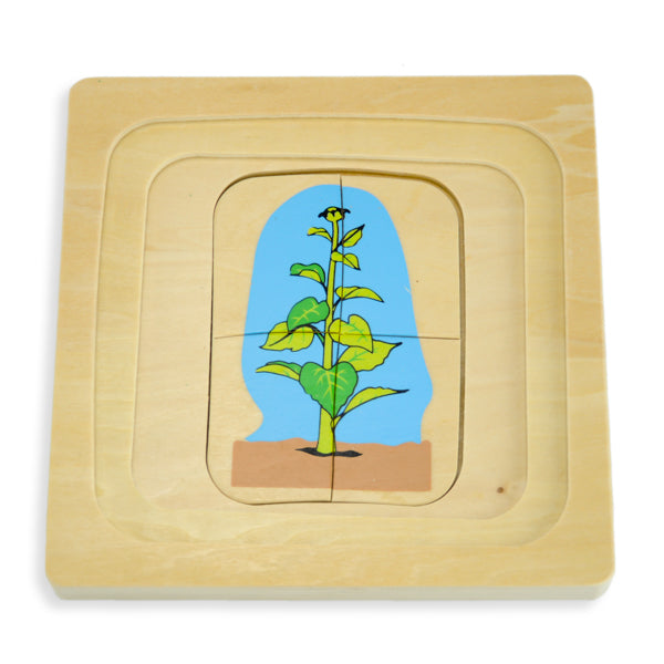 Puzzle cycle de vie de la fleur - Eveil Montessori Maroc