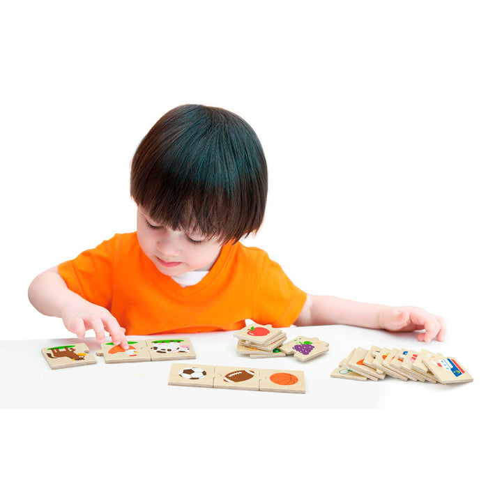 Puzzle : classer par catégorie - Eveil Montessori Maroc