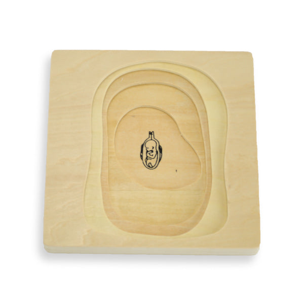 Puzzle cycle de vie de la femme - Eveil Montessori Maroc