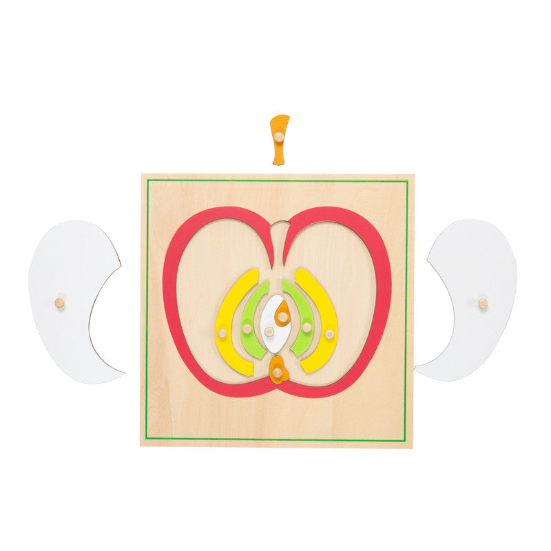 Puzzle de la Pomme - Eveil Montessori Maroc