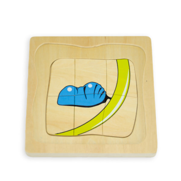Puzzle cycle de vie du papillon - Eveil Montessori Maroc