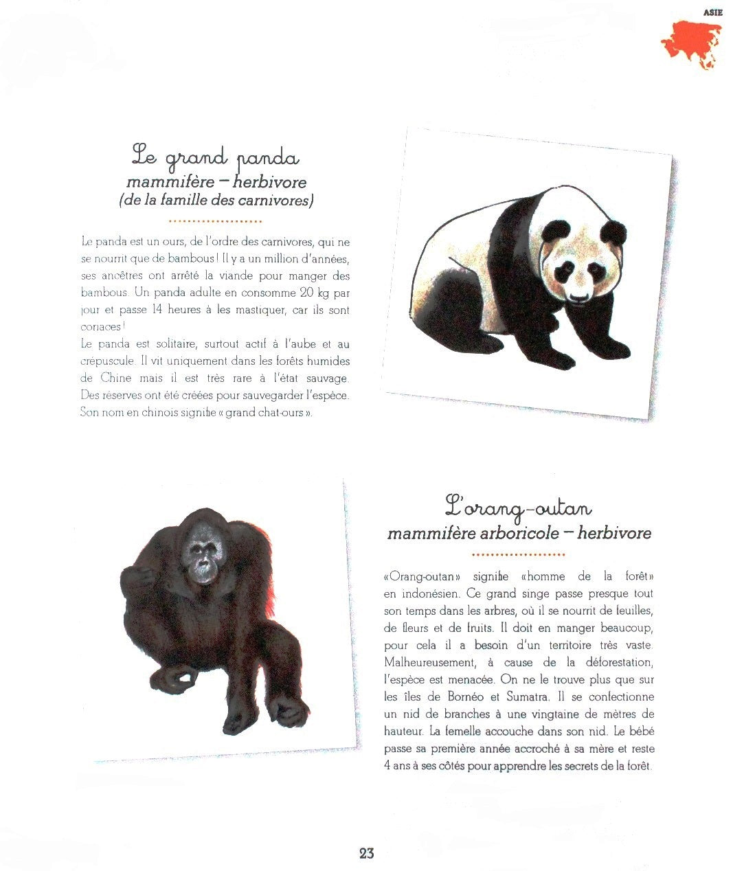 Mon cahier Montessori - Les animaux des continents - Eveil Montessori Maroc
