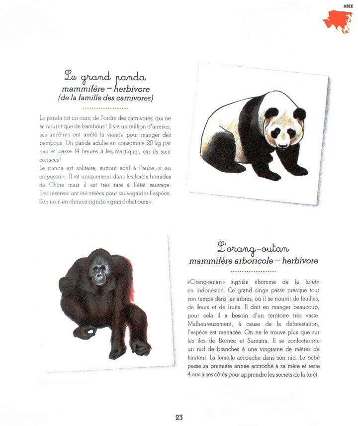 Mon cahier Montessori - Les animaux des continents - Eveil Montessori Maroc