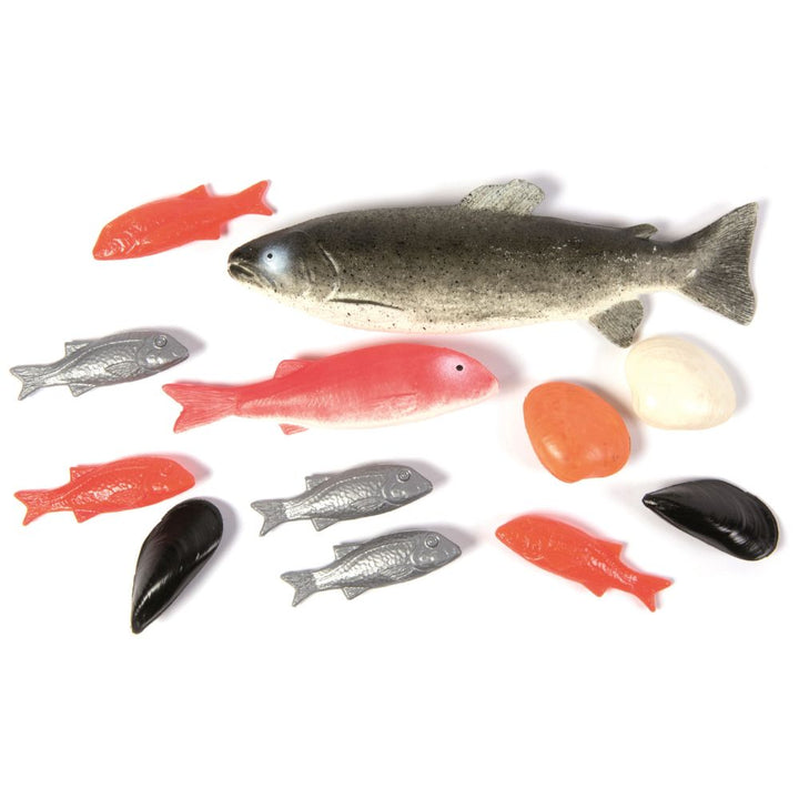 Poissons en plastique - Aliments en plastique - Eveil Montessori Maroc