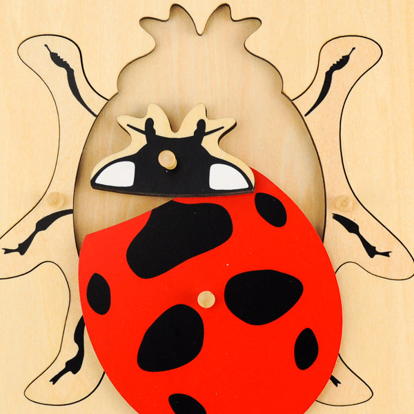 Puzzle de la coccinelle - Eveil Montessori Maroc