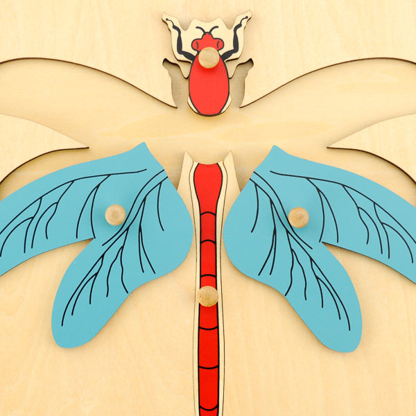 Puzzle de la libellule - Eveil Montessori Maroc