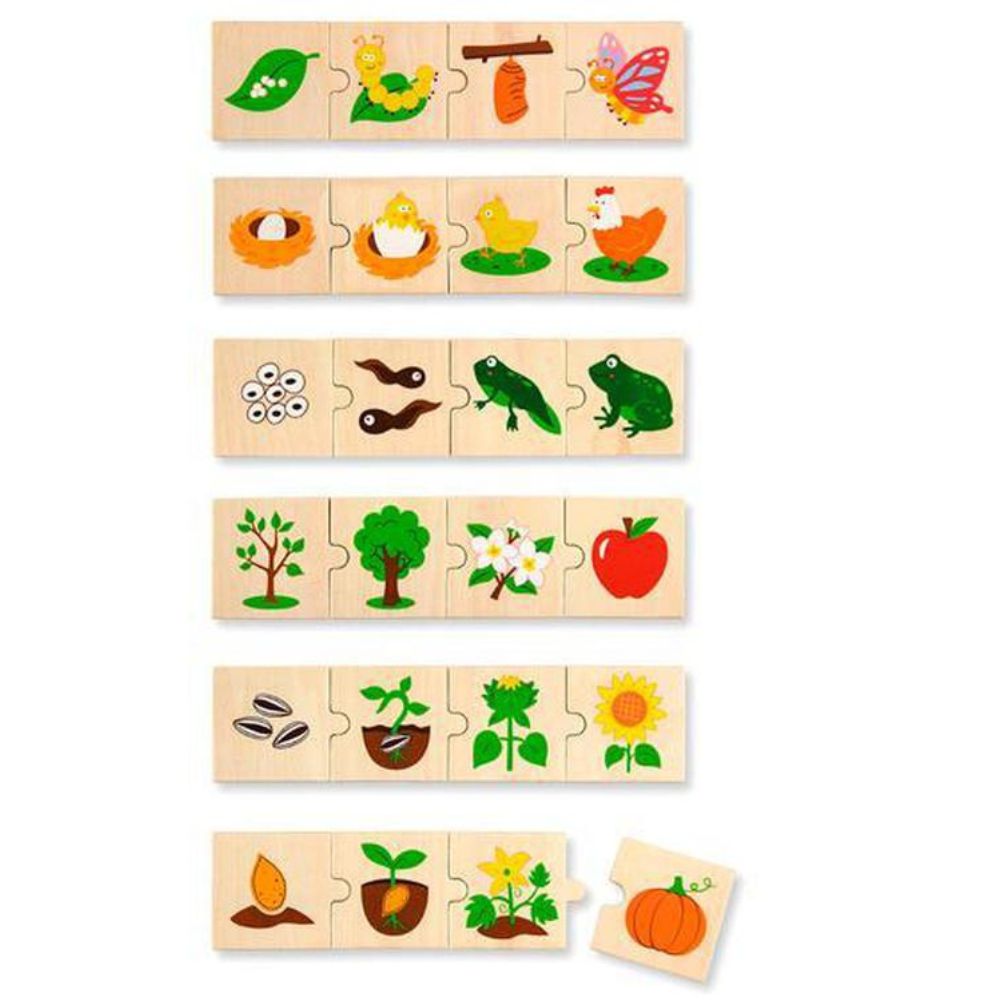 Puzzle Cycle de vie - Eveil Montessori Maroc