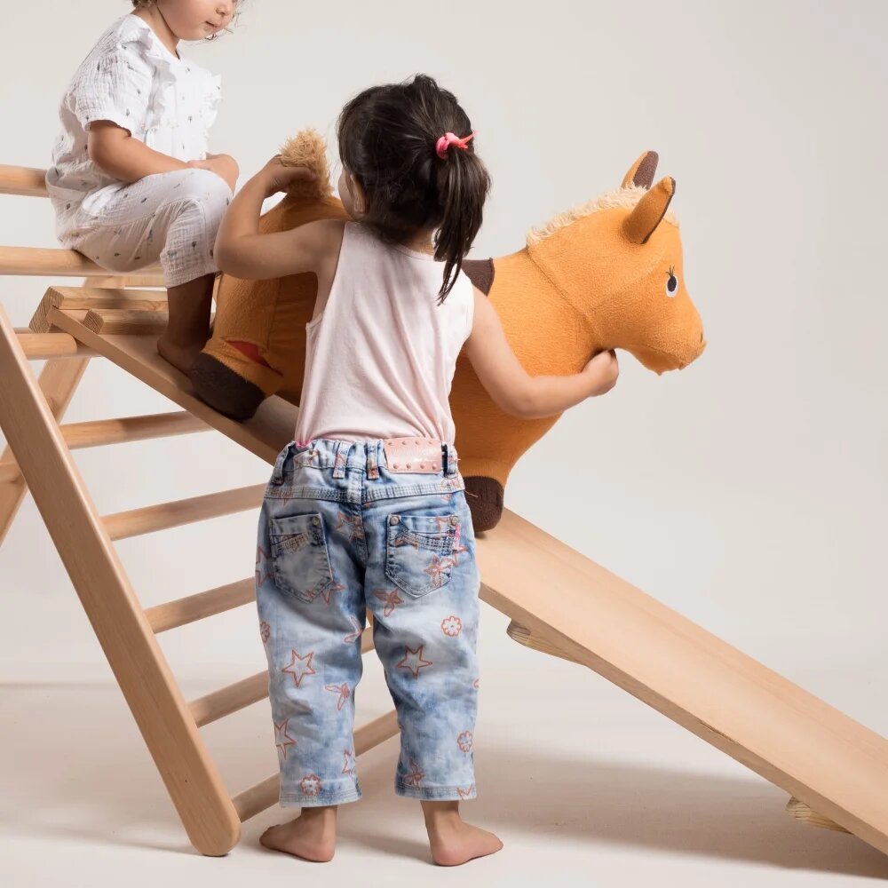 Rampe d'escalade double face - Eveil Montessori Maroc