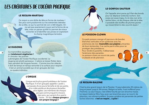 Voyage, découvre, explore - La mer - Eveil Montessori Maroc