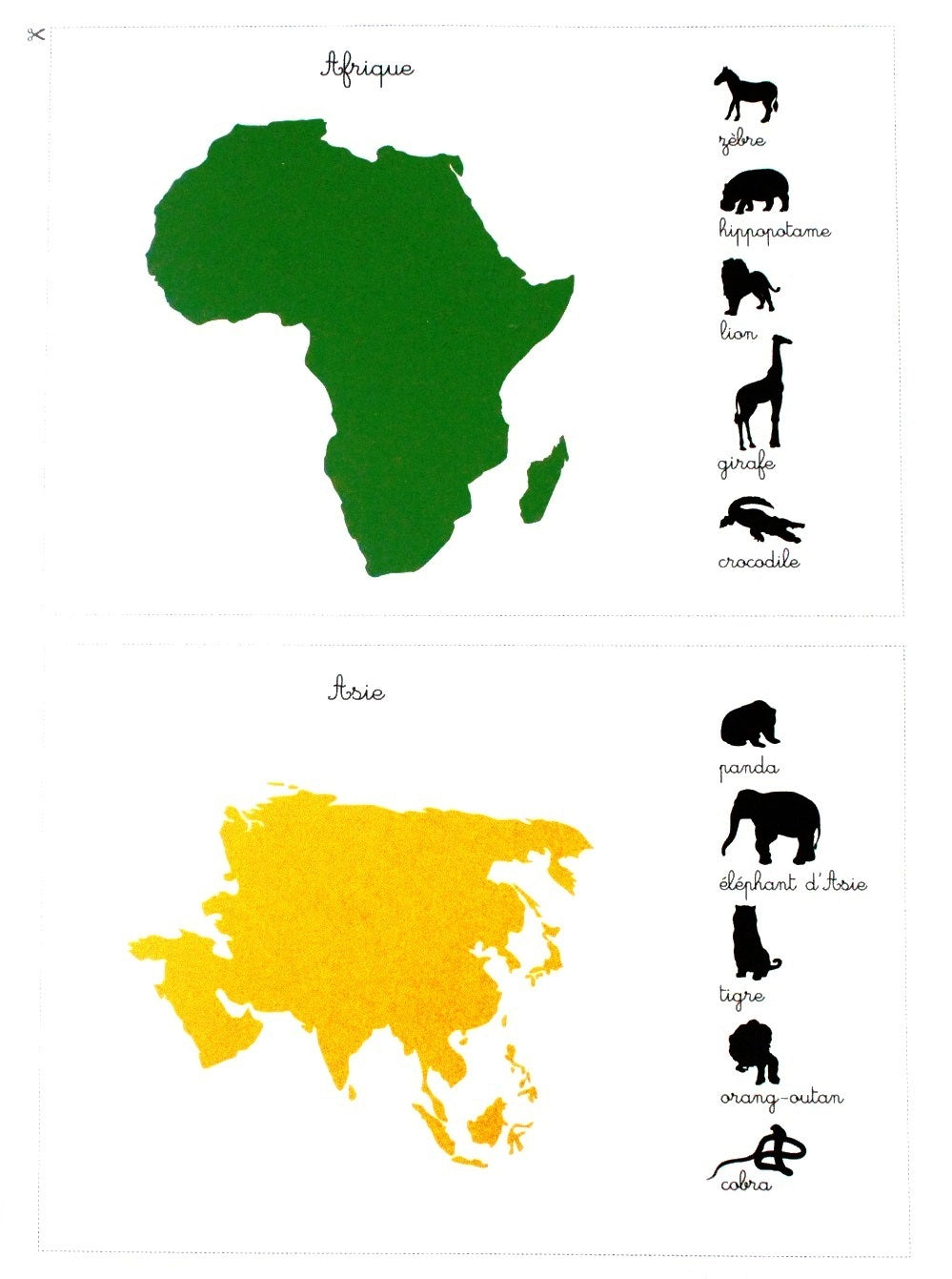 Mon cahier Montessori - Les animaux des continents - Eveil Montessori Maroc