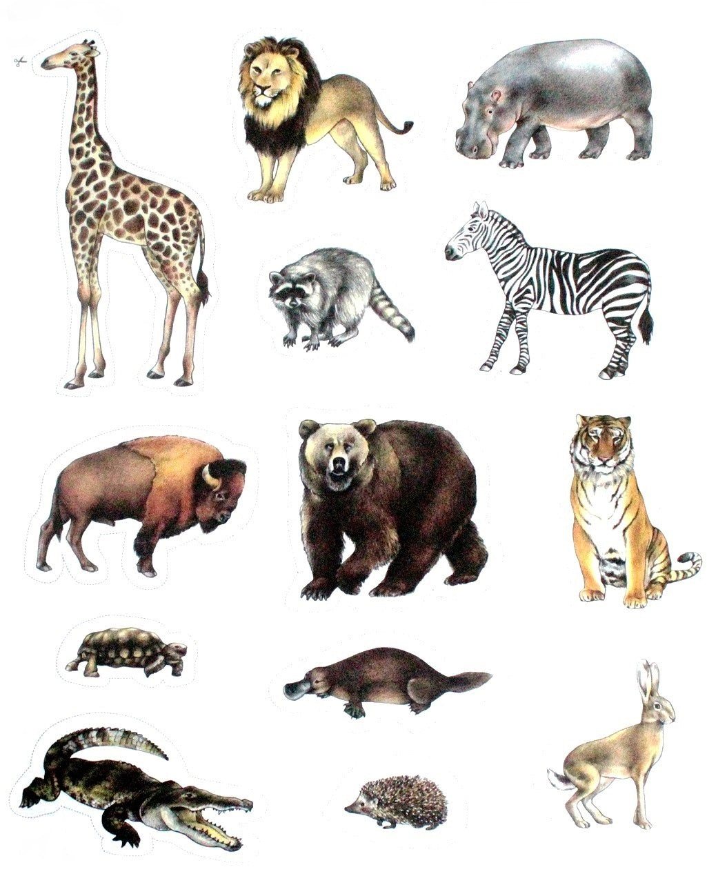 Mon cahier Montessori - Les animaux des continents - Eveil Montessori Maroc